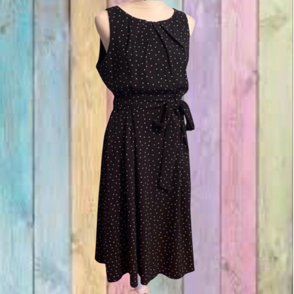 Elle Black Polka Dot Lined Tie Waist Full Bloom A-line Dress